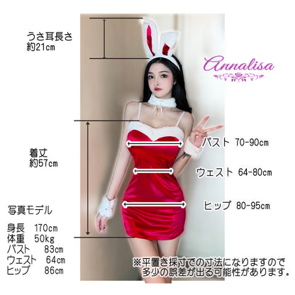 光沢のあるしっかりした生地を使用したシャイニーなバニーガール